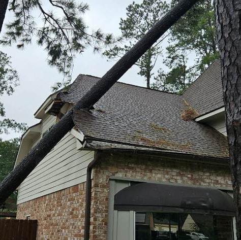 Storm-damaged roof with fallen tree — covered by CCS